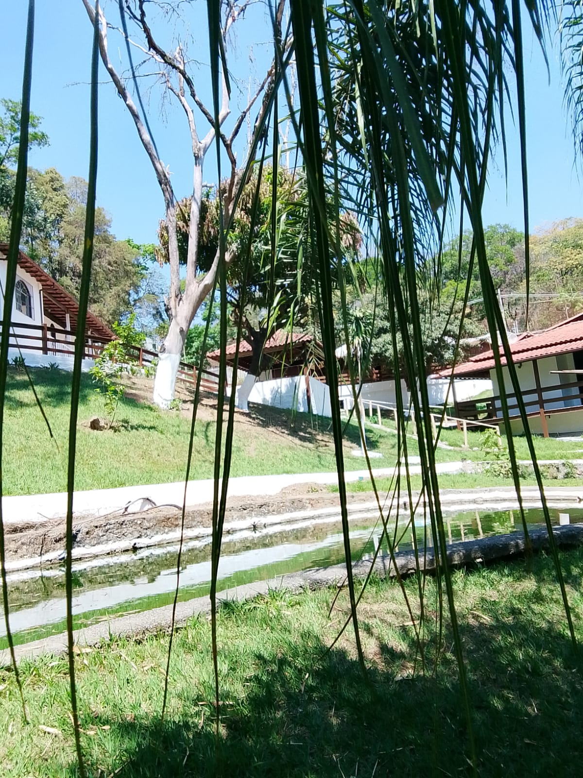Área Verde